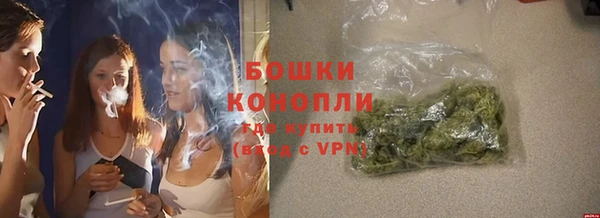 дживик Кулебаки