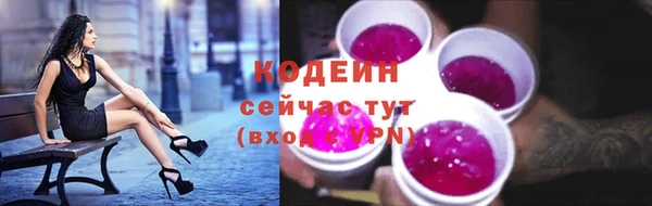 дживик Лабытнанги