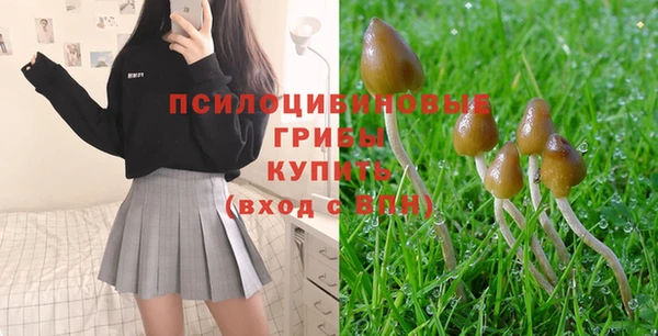 кокаин перу Ладушкин
