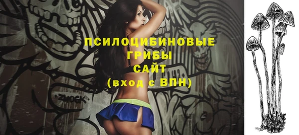 apvp Лагань