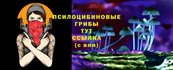дживик Лабытнанги