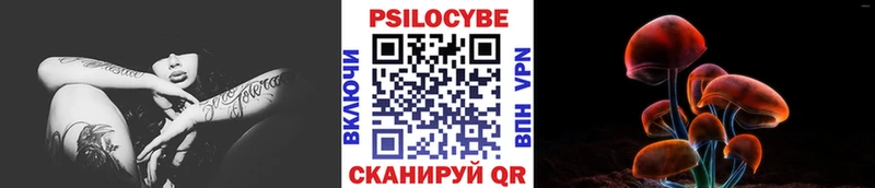 Псилоцибиновые грибы Psilocybine cubensis  Мамадыш 